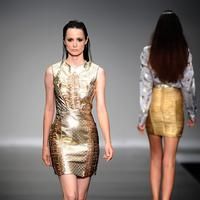 Istanbul Fashion Week Winter 2011-2012 | Picture 73068
